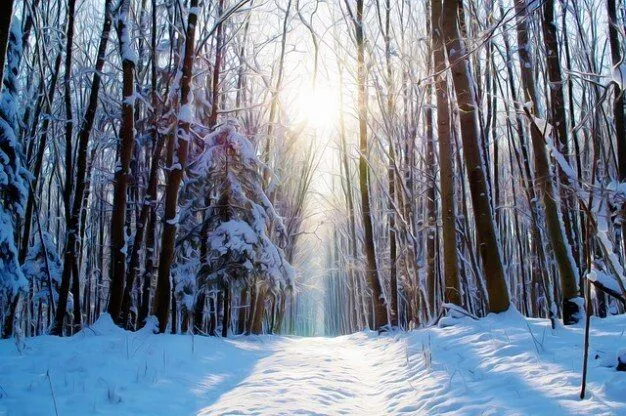 pintado árboles invierno nieve maravilloso sueño bosque ...