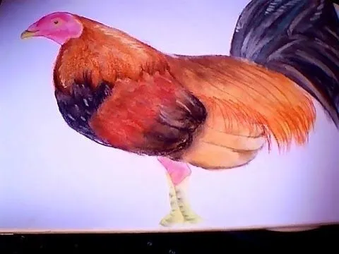 pintando un gallo con tizas pastel - YouTube