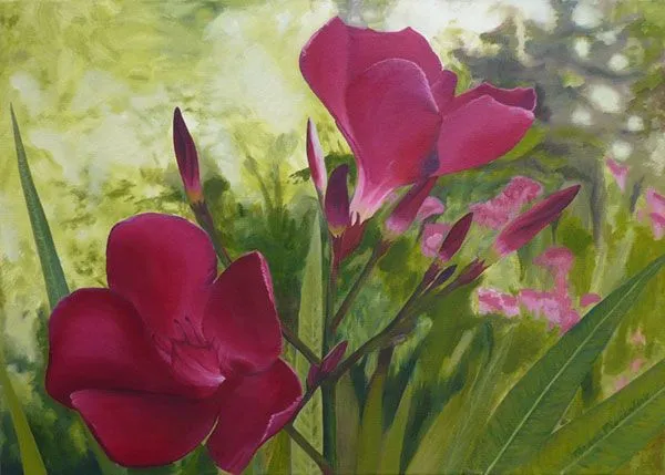 41-pintura-flores-oleo.jpg