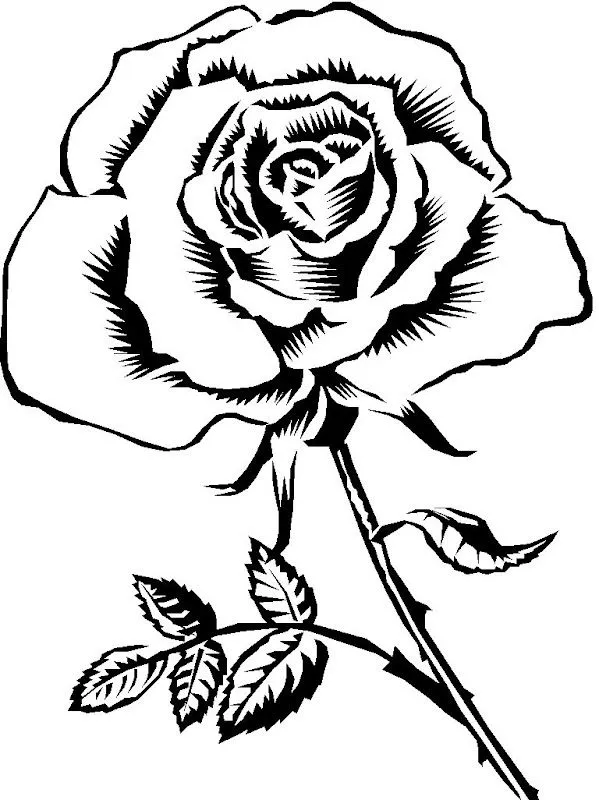 Dibujos de rosas a blanco y negro - Imagui