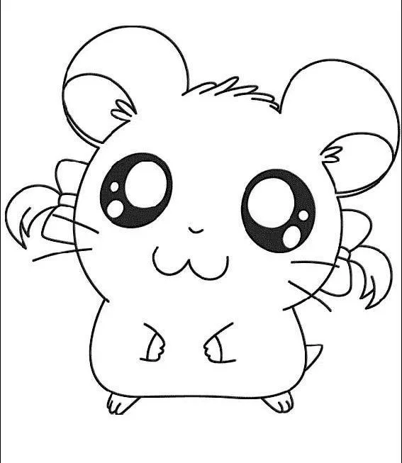 Imagenes de hamsters para dibujar - Imagui