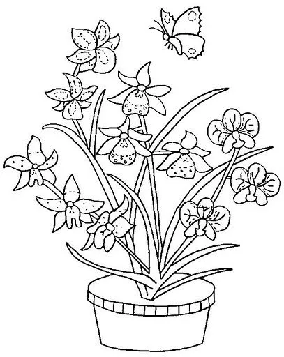 Dibujos para colorear de la orquidea - Imagui