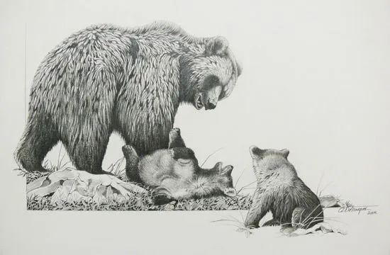 El pintor y la Naturaleza - Wildlife Art: Los osos de Bateman.