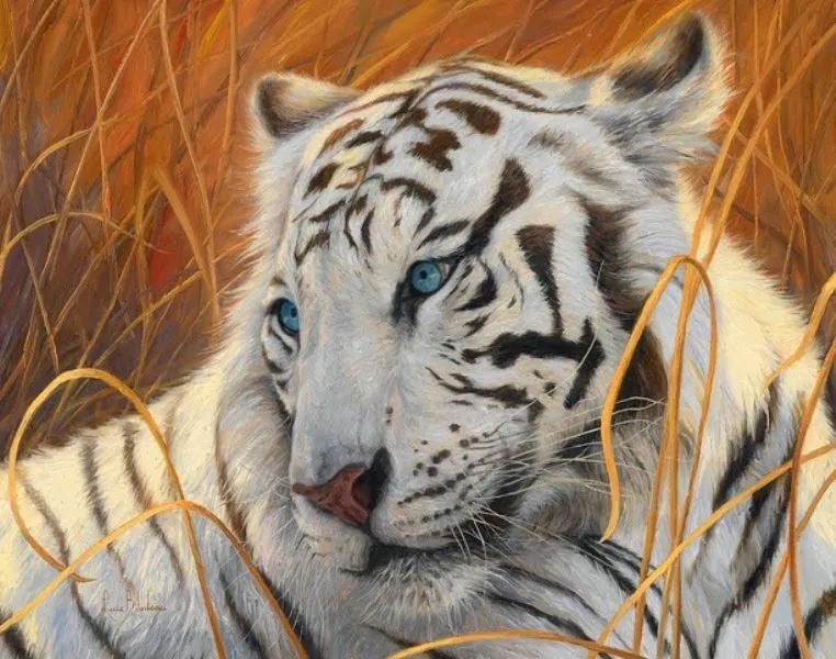 Pintura y Fotografía Artística : Tigres de Bengala en su Hábitat ...