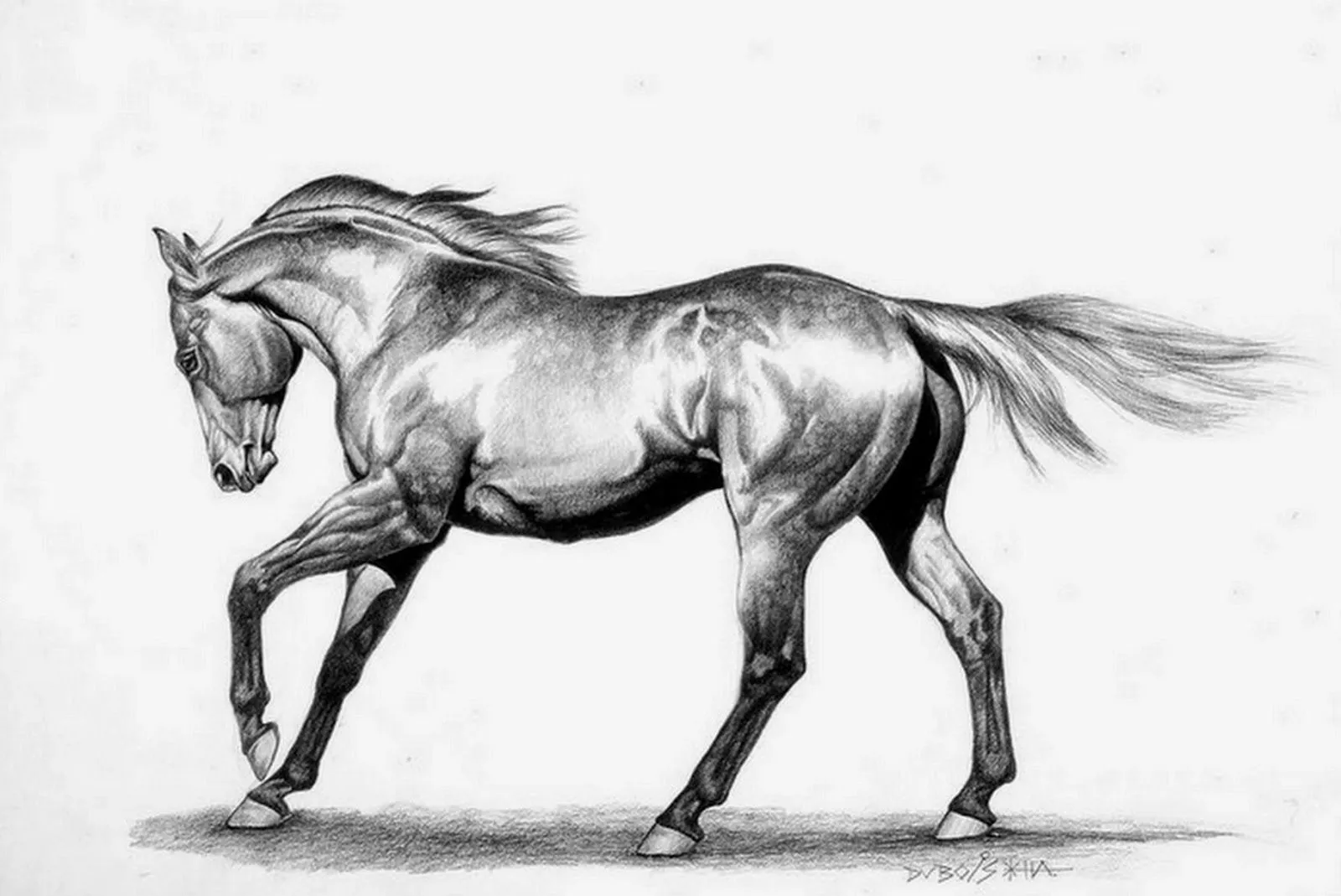 Pintura Moderna y Fotografía Artística : Caballo a Lapiz, Dibujo ... Pintura Moderna y Fotografía Artística : Caballo a Lapiz, Dibujo ...