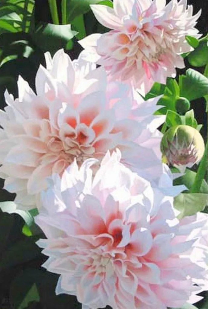 Pintura Moderna al Óleo: Cuadros bonitos de flores Pintura Moderna al Óleo: Cuadros bonitos de flores