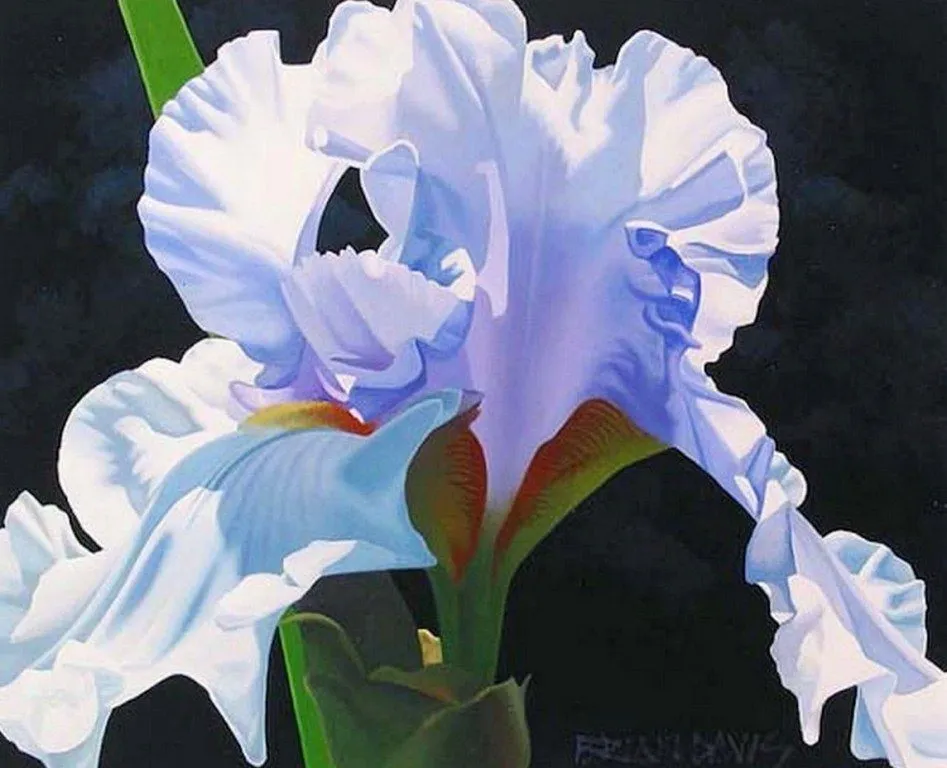Pintura Moderna al Óleo: Cuadros con flores orquídeas Pintura Moderna al Óleo: Cuadros con flores orquídeas