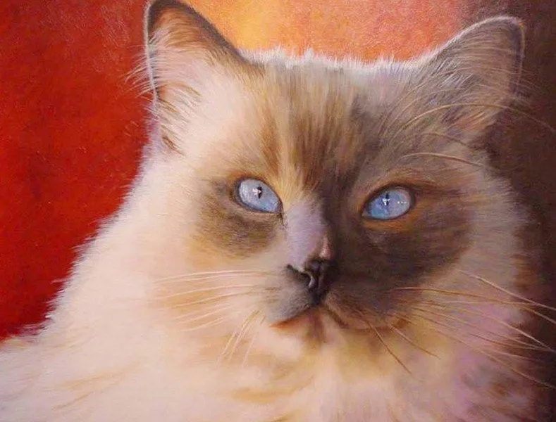 Pintura Moderna al Óleo: Gato y tigre pintado en acrílico sobre lienzo