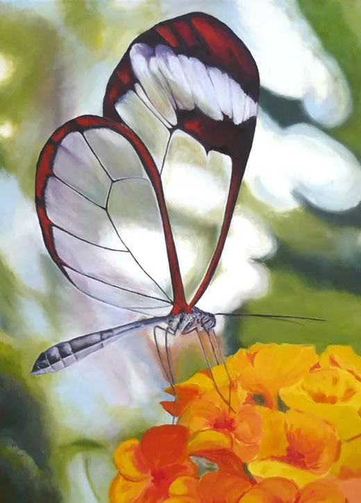 Pintura al oleo. trasparencia. | Mariposas | Pinterest | Pintura