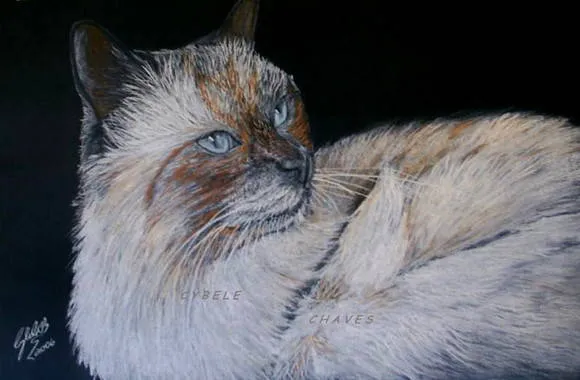 Pintura original de gato em pastel seco | Cybele Chaves | Elo7