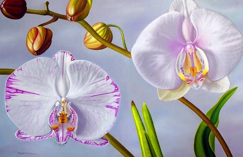 Pinturas & Cuadros: Cuadros con bonitas flores