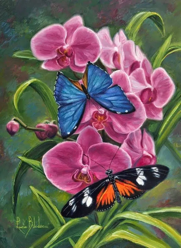 Pinturas & Cuadros: Mariposas: Representación en Pintura al Óleo ...