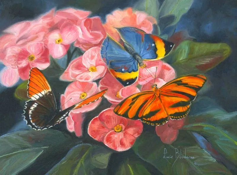 Pinturas & Cuadros: Mariposas: Representación en Pintura al Óleo ...