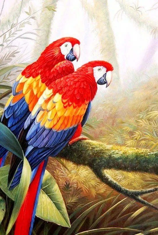 Pinturas & Cuadros: Paisajes con aves