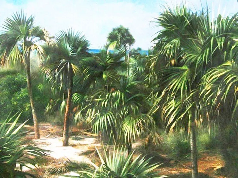 Pinturas & Cuadros: Pintura paisajes con palmas