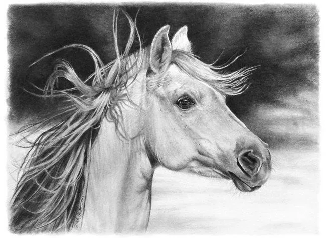 Dibujos hechos a lapiz de caballos - Imagui