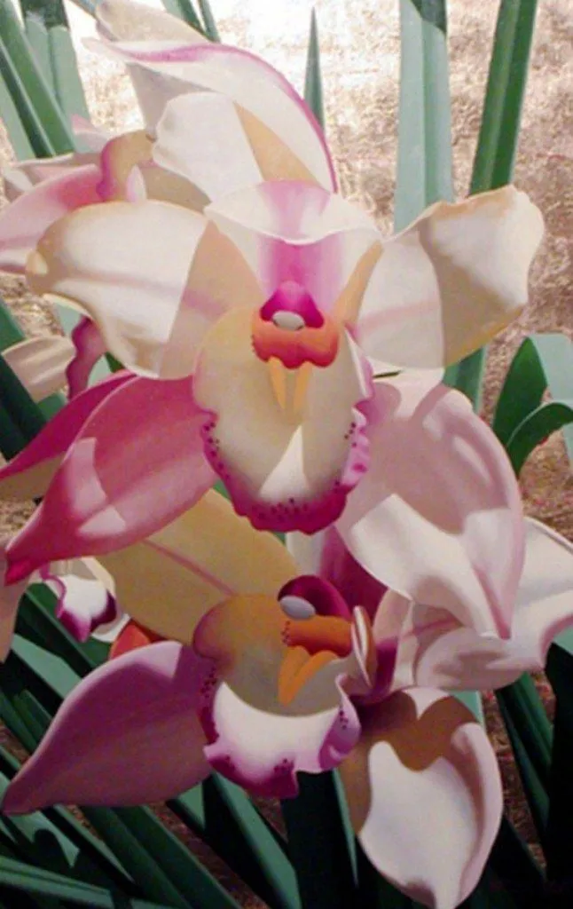 Pintura Moderna al Óleo: Cuadros con flores orquídeas Pintura Moderna al Óleo: Cuadros con flores orquídeas