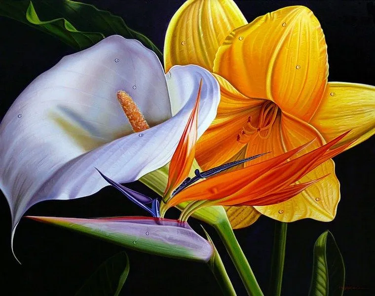 Pinturas & Cuadros: Bonitas pinturas con flores cartuchos