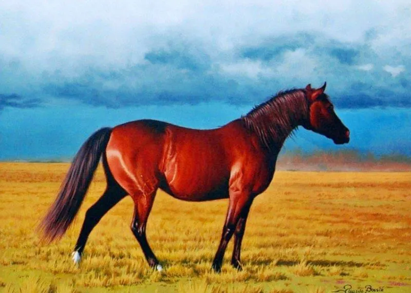 Pinturas Cuadros: Cuadros pintados al óleo de caballos Pinturas Cuadros: Cuadros pintados al óleo de caballos