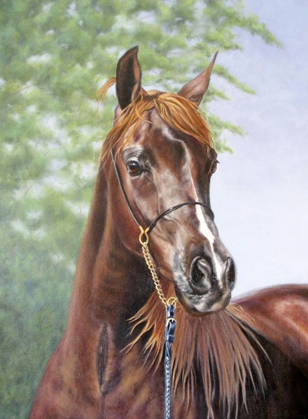 Pintura Moderna al Óleo: Pinturas realistas de caballos