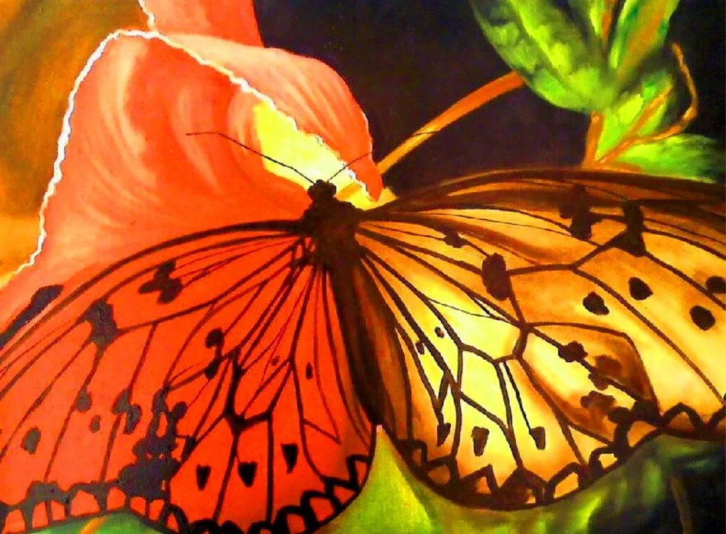 pinturas de mariposas abstractas cuadros modernos decorativos ...