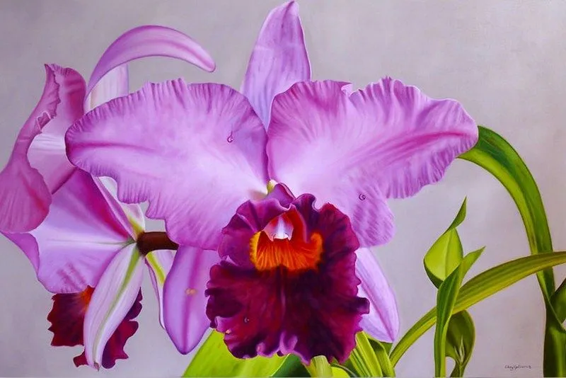 Pinturas con orquideas - Imagui
