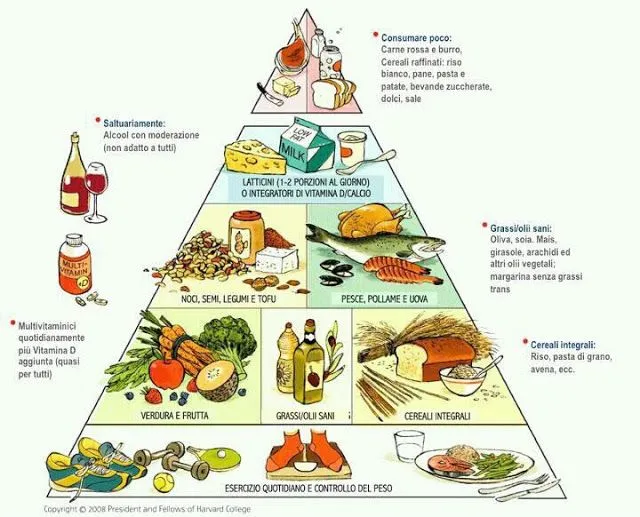 La nueva pirámide alimentaria | rubendietetico