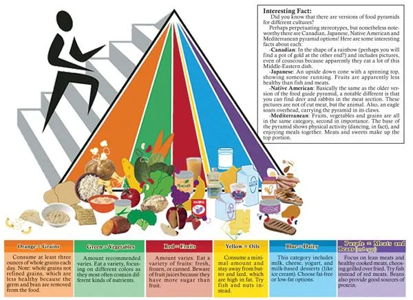 La nueva piramide alimenticia