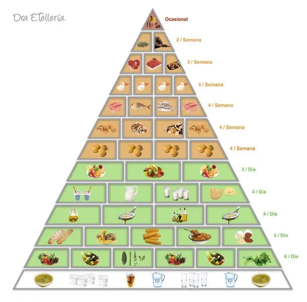 Piramide alimentaria de animales - Imagui
