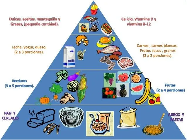 Piramide alimenticia con los contenidos en inglés - Imagui