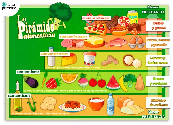 La pirámide alimenticia para niños - Mundo Primaria