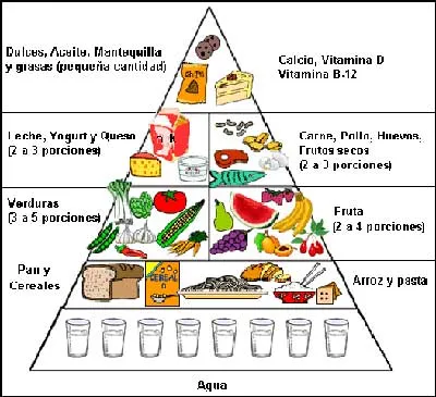 Pirámide alimenticia y Óvalo nutricional. Secuencia didáctica ...