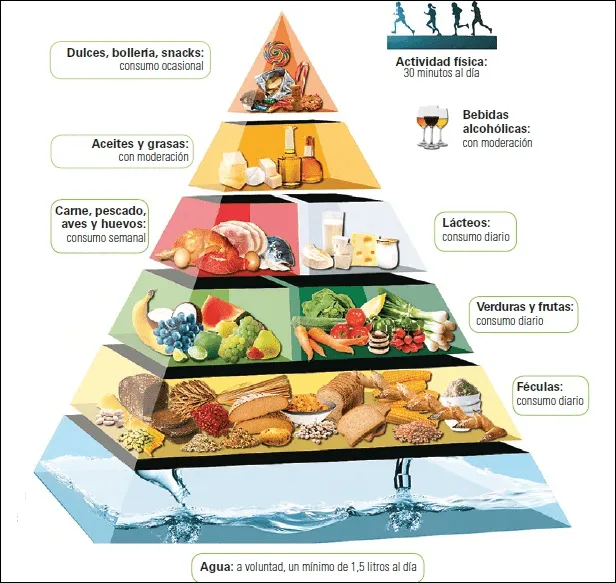La Pirámide de los Alimentos ~ Mi aula en la red