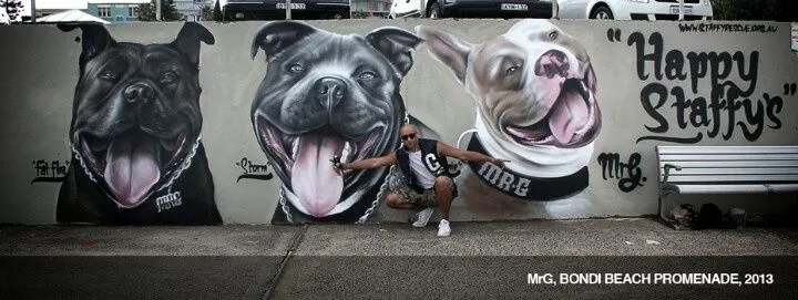 Pit Bull Graffiti Wall ♥ | Staffies and Pit Bull's are for hugs ...