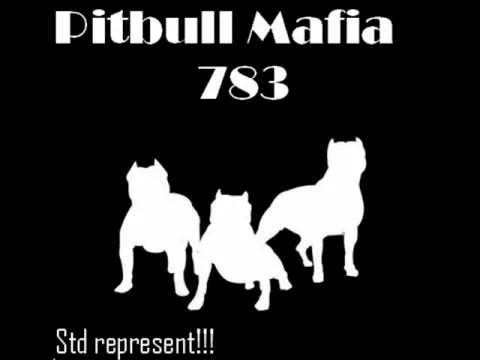 Pitbull Mafia 783 - Tiempo de Rap.wmv - YouTube