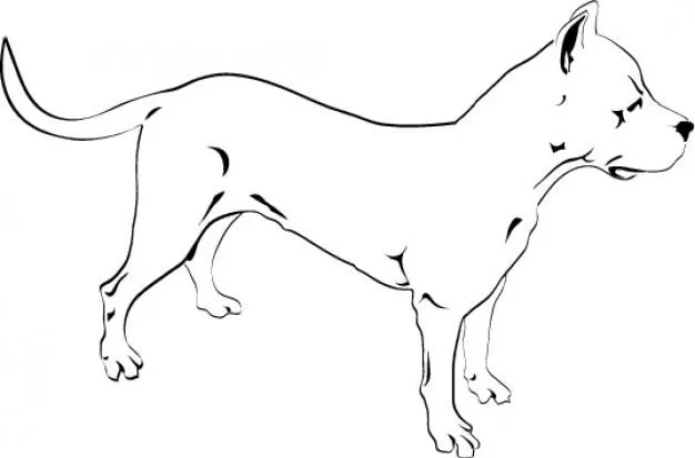 Pitbull perro dibujo vector icono | Descargar Vectores gratis