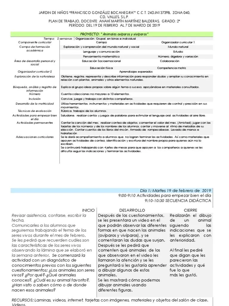 Planeacion Viviparos Hgy-1 2 | PDF | Educación de la primera infancia |  Cognición