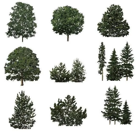 Planos de Arboles, en Fotografías para renders - Arboles y plantas ... Planos de Arboles, en Fotografías para renders - Arboles y plantas ...