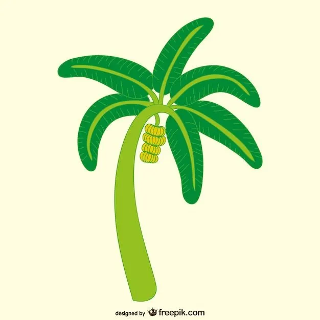 Planta De Banano | Fotos y Vectores gratis