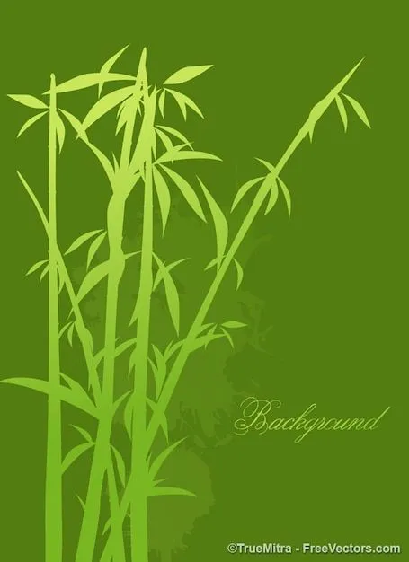 Plantas De Bambu | Fotos y Vectores gratis