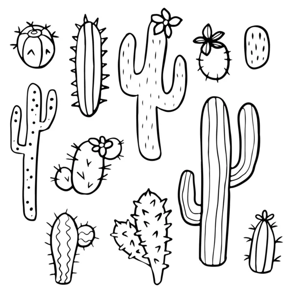 Plantas de cactus dibujado a mano — Vector stock © littlepaw #56307355
