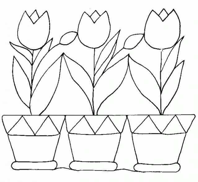 Los dibujos de las plantas - Imagui