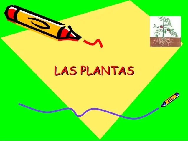 Las plantas y su glosario (para niños) actividad extra