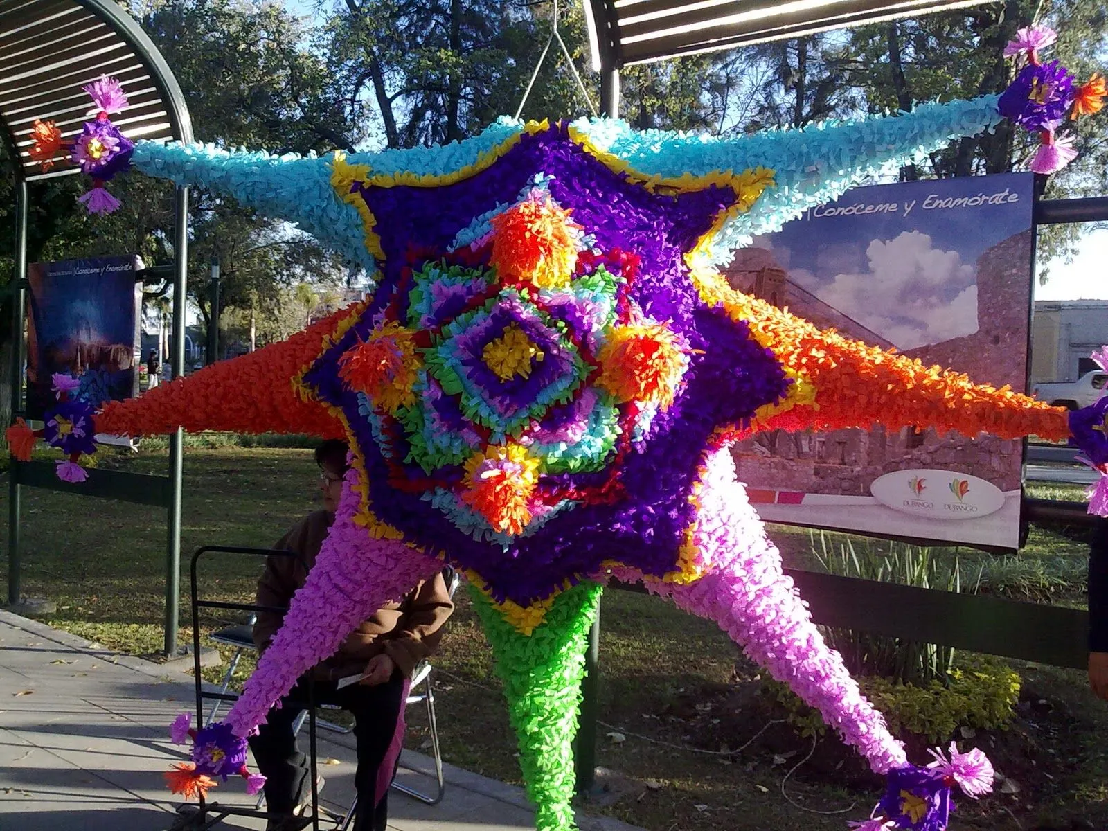 De plantas y algo mas: Concurso de piñatas Navideñas 2010 De plantas y algo mas: Concurso de piñatas Navideñas 2010