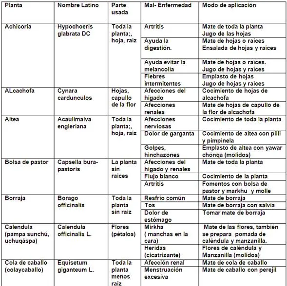 Uso de plantas en medicina tradicional - Perú - Monografias.