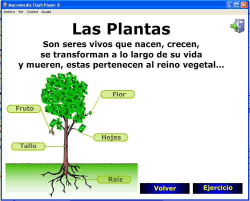 Plantas2.gif