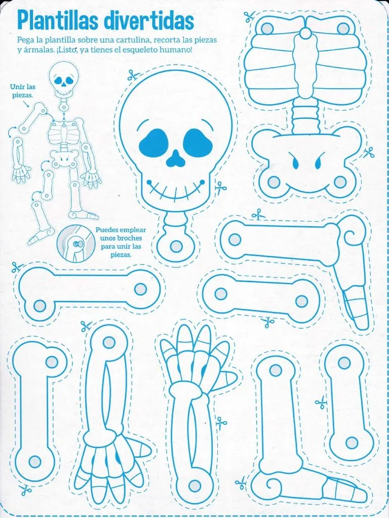 Plantilla Del Esqueleto | PDF