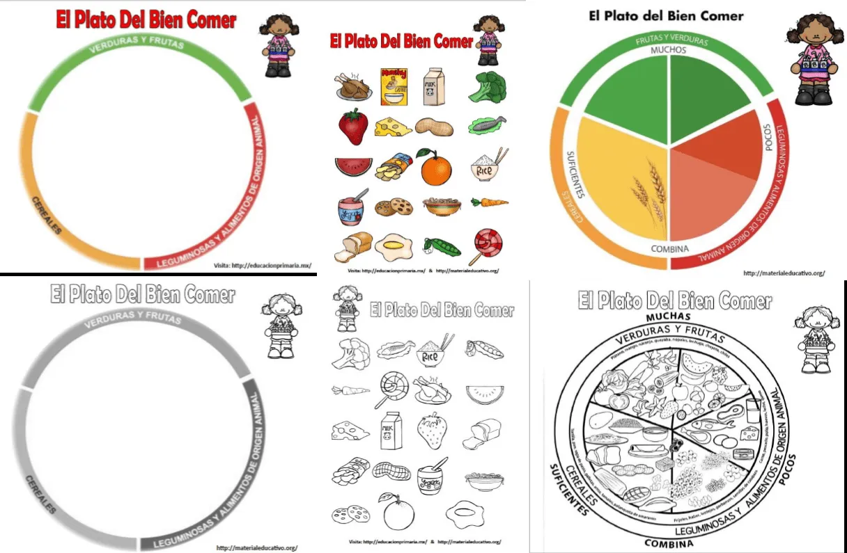 El plato del bien comer para armar, colorear y explicar ...