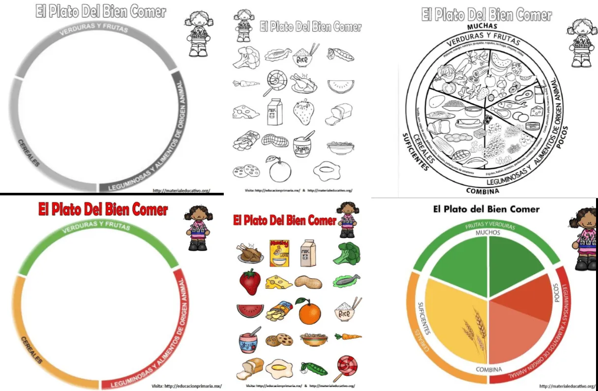 El plato del bien comer para colorear, explicar y armar | Material ...