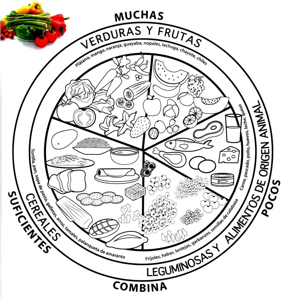 Plato del buen comer para colorear - Imagui